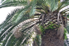 大阪・玉造　東小橋北公園2