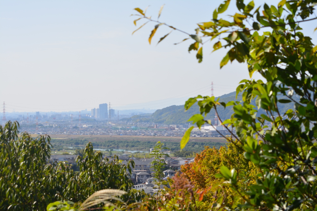 京都八幡市から大阪方面1