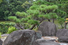 20180902枚方・鏡伝池④