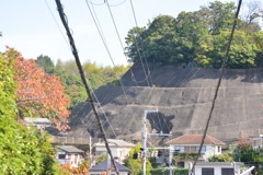 京都・八幡市　狩尾神社外観