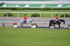 淀競馬場5