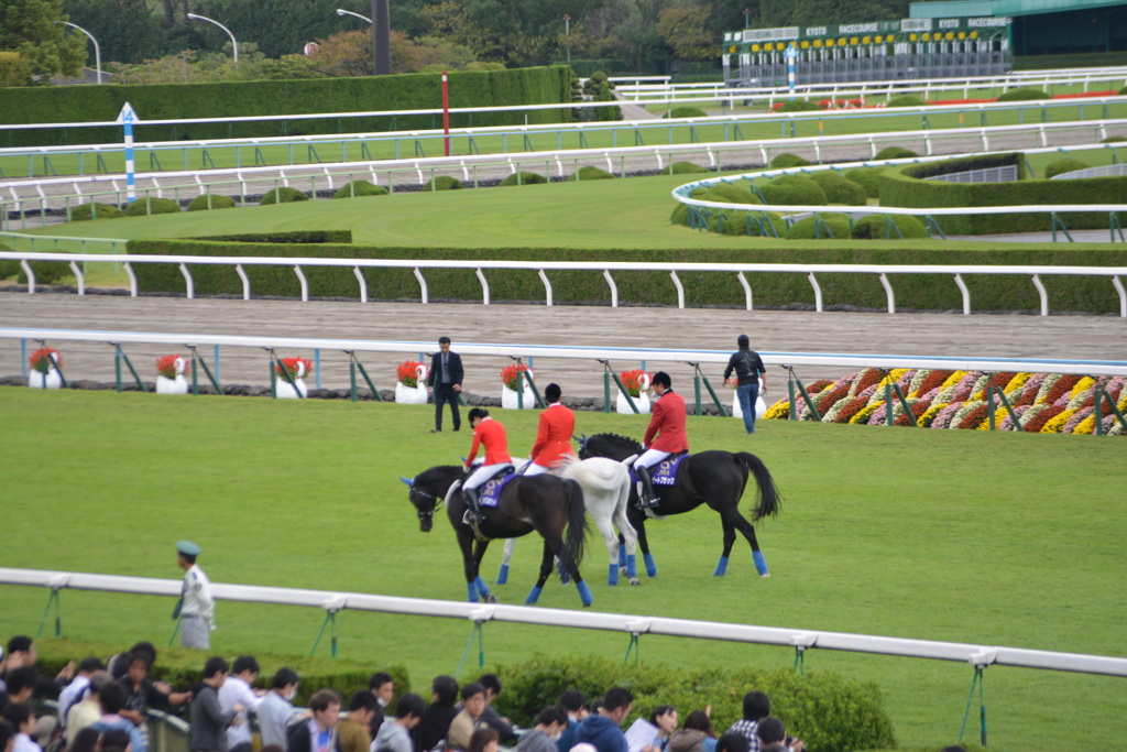 淀競馬場8