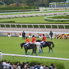 淀競馬場8