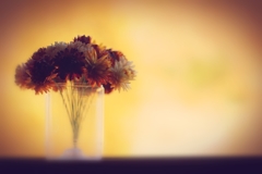 あったかいんだから