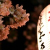 提灯に照らされて