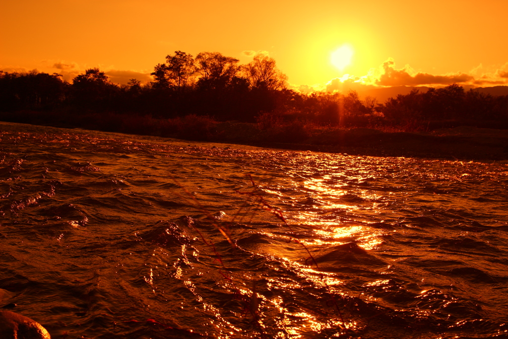 荒々しくも美しい