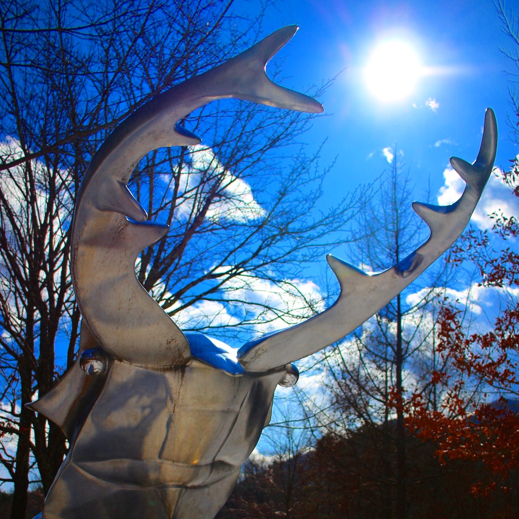 太陽をキャッチ！