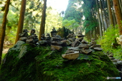 山の道標