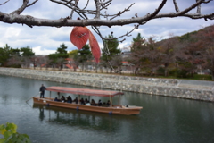 宇治川の晩秋