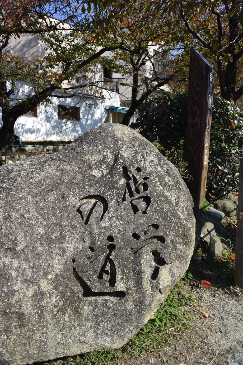 哲学の道
