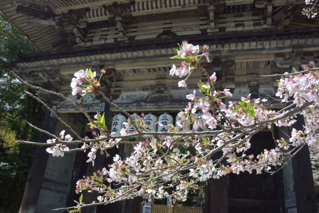 三井寺門前