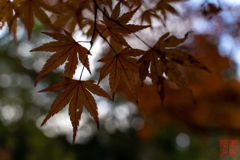 八徳山八葉寺