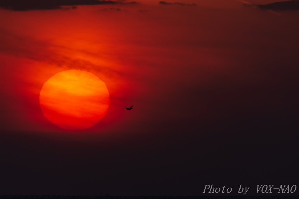 霞夕日