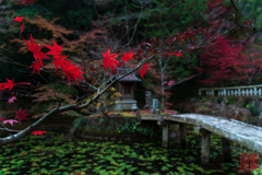 八徳山八葉寺