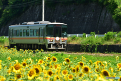 ひまわり