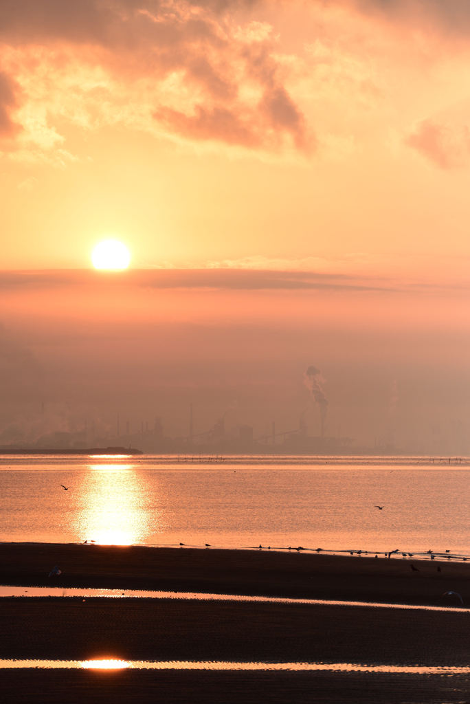 SUNRISEⅡ