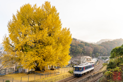 大銀杏と鉄道