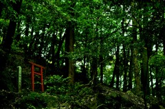赤い鳥居