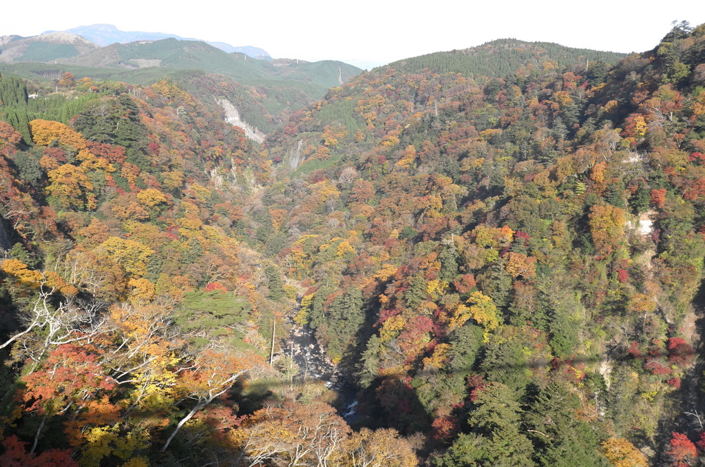 九重“夢”大吊橋