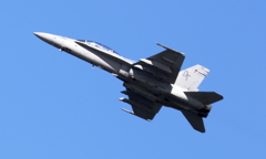 岩国FSD F-18 ホーネット