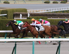 マテラスカイ（2017/03/11 阪神6R 3歳500万下）