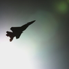 逆光のイーグル　岐阜基地航空祭2016