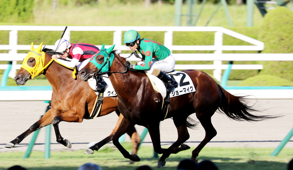 ジョーマイク(2017/09/30 阪神12R 3歳上500万下)