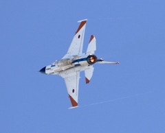 F-2A 岐阜基地航空祭2016