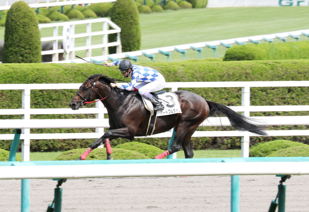 ハートフルタイム(2017/09/30 阪神4R 3歳未勝利)