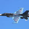 岩国FSD F-2