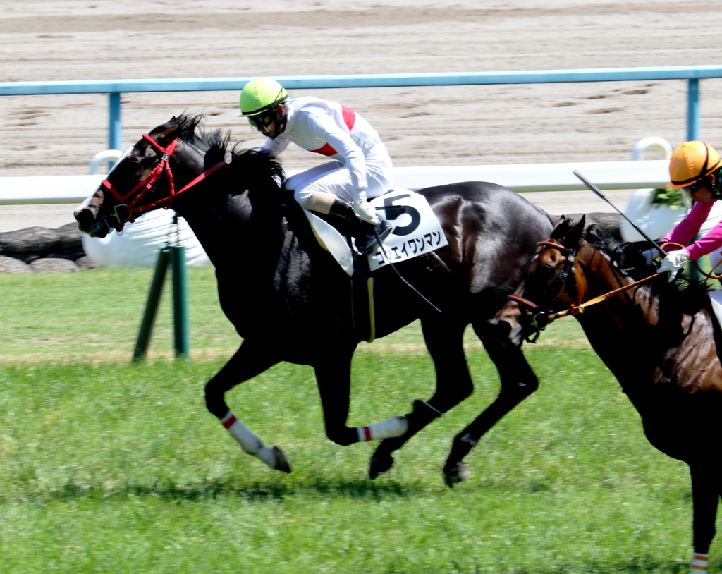 コウエイワンマン(2017/05/28 京都8R 4歳上1000万下)