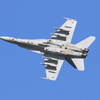 岩国FSD F-18 ホーネット