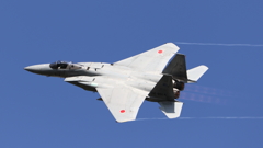 F-15J 岐阜基地航空祭2016