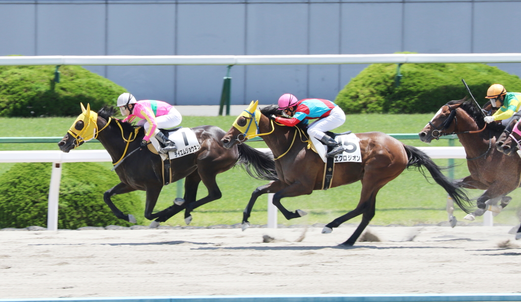 テイエムジョウネツ(2017/05/28 京都6R 4歳上500万下)