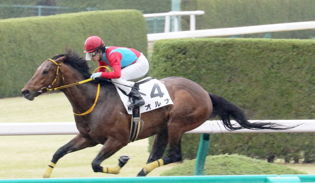 オルナ(2017/04/08 阪神12R 4歳上1000万下)