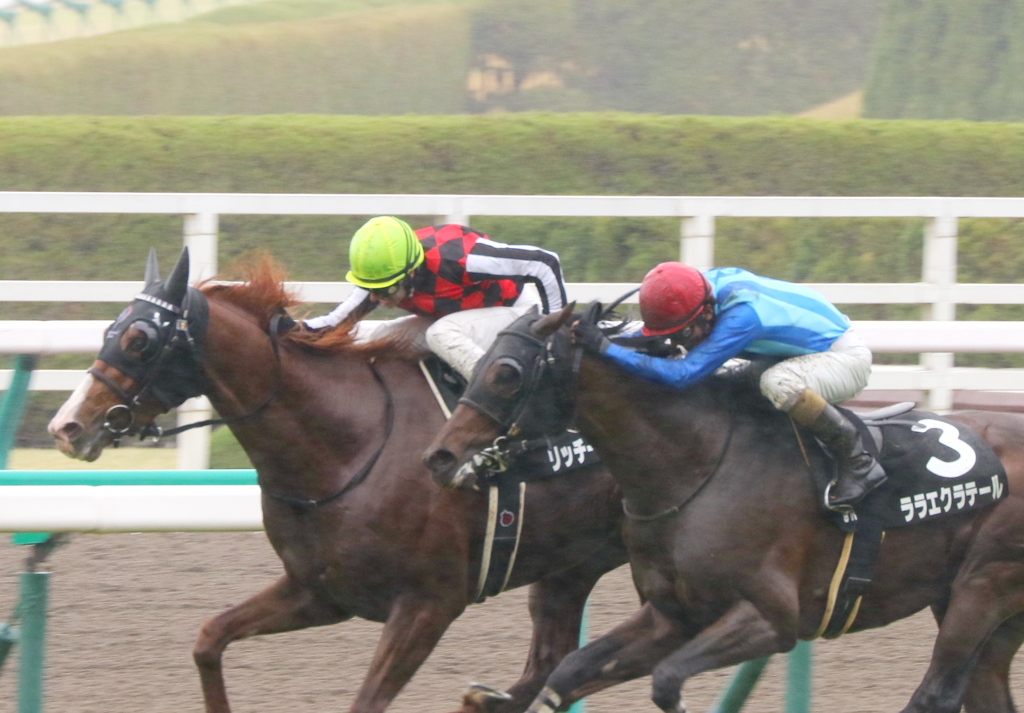 リッチーリッチー(2017/04/08 阪神9R 白鷺特別)