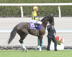 カイザーバル(2016/10/16 京都11R 秋華賞 返し馬)