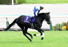 エンジェルフェイス(2016/10/16 京都11R 秋華賞 返し馬)