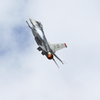 F-16 岐阜基地航空祭2016