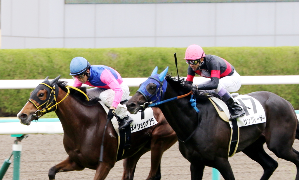メイショウオワラ(2017/04/08 阪神6R 3歳500万下)