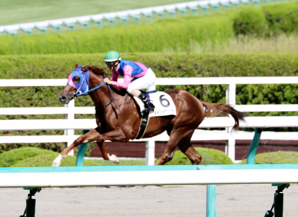 メイショウワザシ(2017/09/30 阪神6R 2歳新馬)