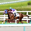 メイショウワザシ(2017/09/30 阪神6R 2歳新馬)