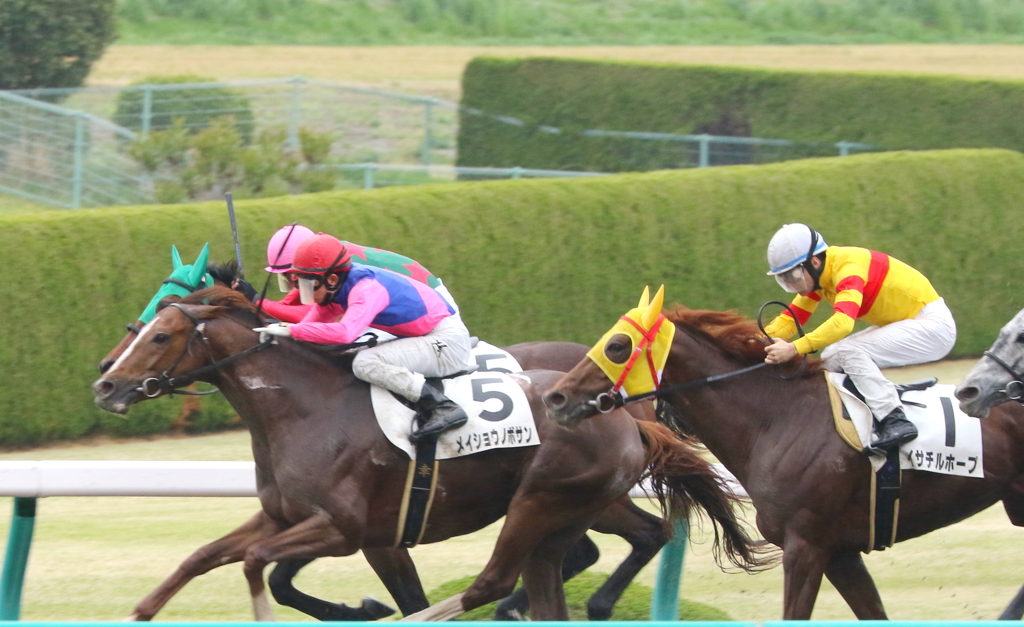 メイショウノボサン(2017/04/08 阪神7R 4歳上500万下)