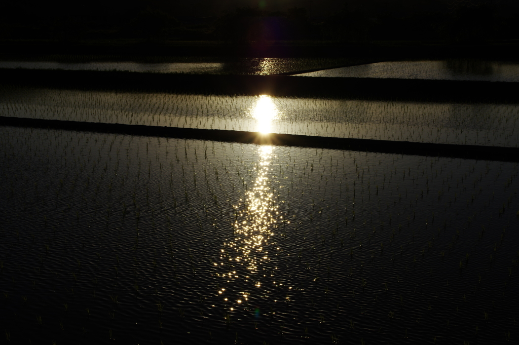 田植えシーズンの夕方2　志方