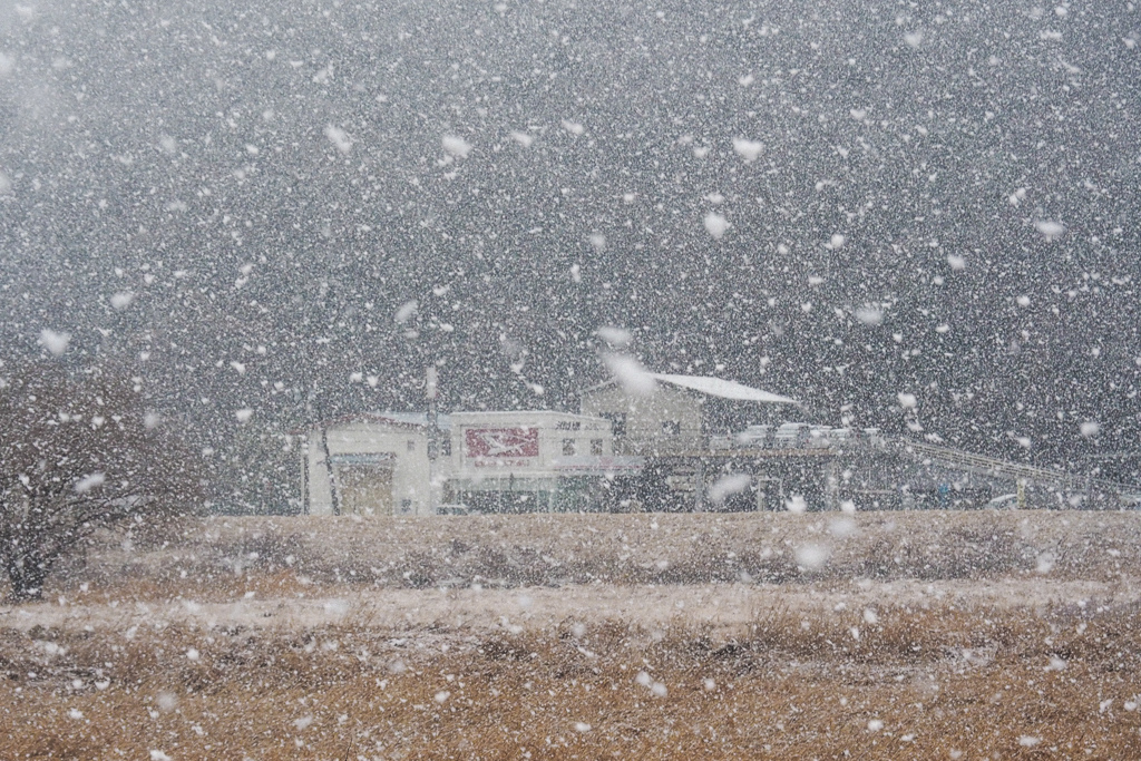 大雪