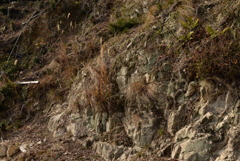 鹿久居島現寺湾にて 3