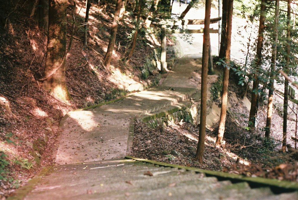 神社の石段から