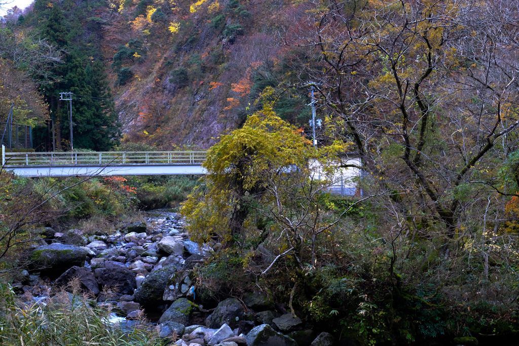 紅葉の川