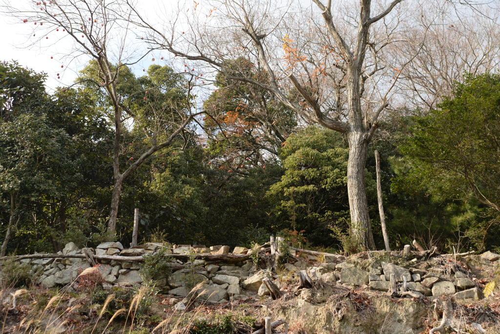 鹿久居島にて 6