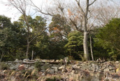 鹿久居島にて 6